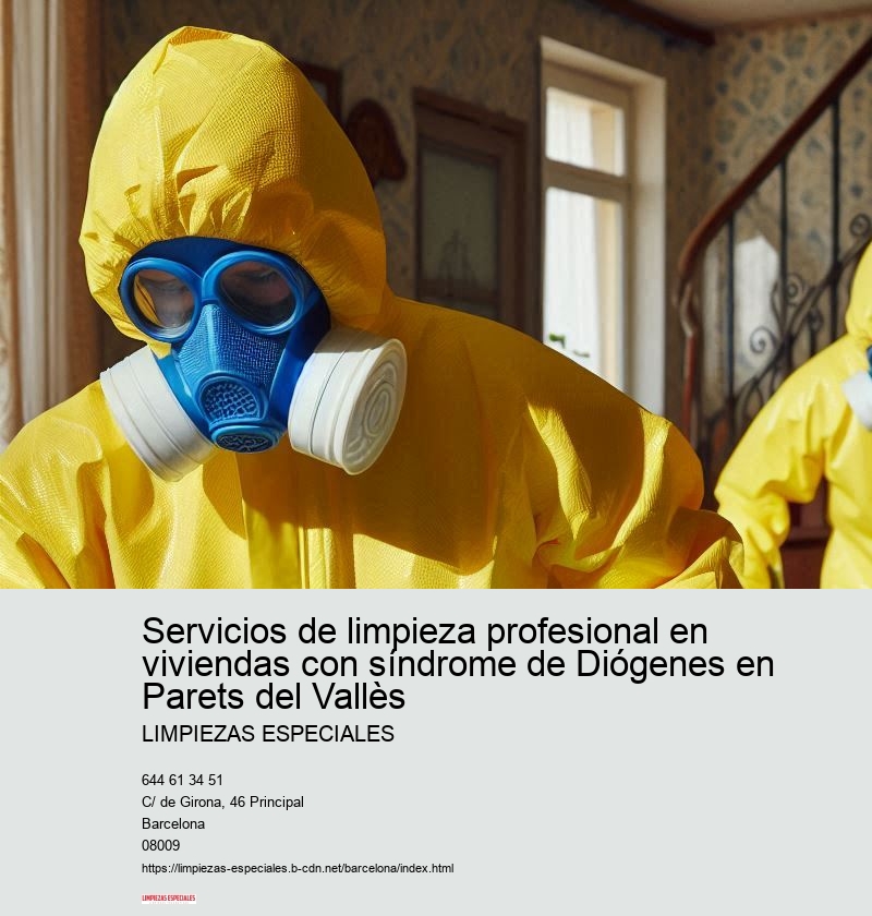 Importancia de una limpieza profesional para el síndrome de Diógenes