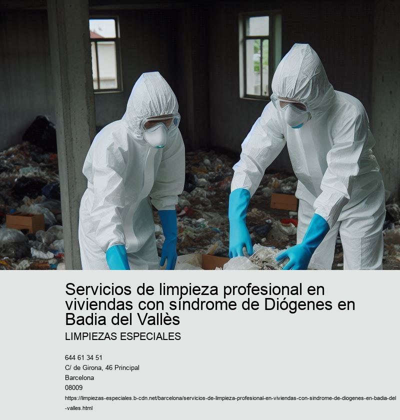Cómo mantener la limpieza después de una intervención profesional