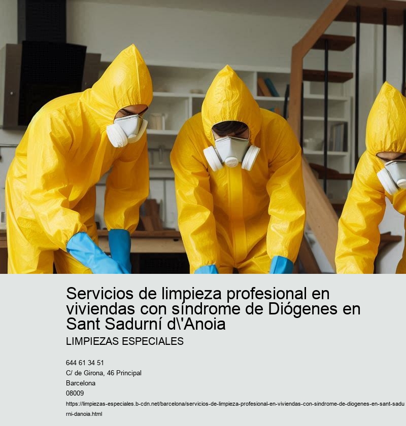 Limpieza profunda y mantenimiento regular